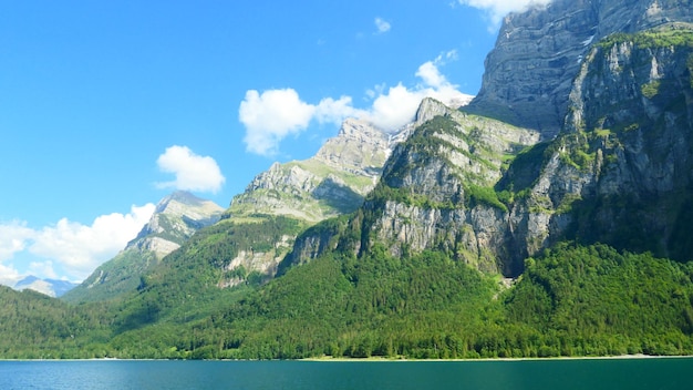 AI工具箱的使用教程與功能詳解