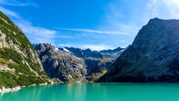 如何下載免費的AI工具箱并提升工作效率