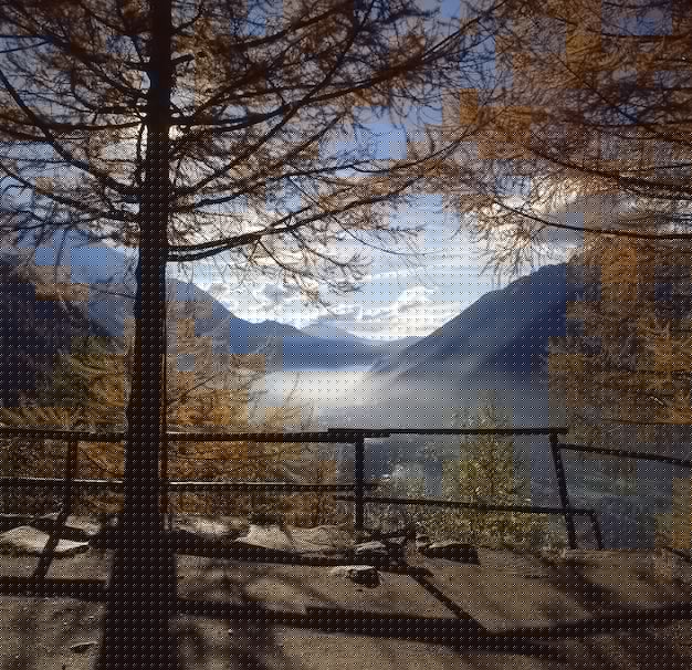 AI工具箱的使用方法和常見問題解析