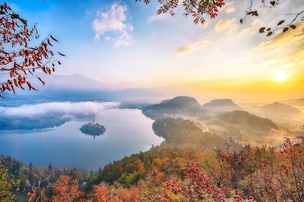 如何利用醫療AI工具提升診斷效率與準確性