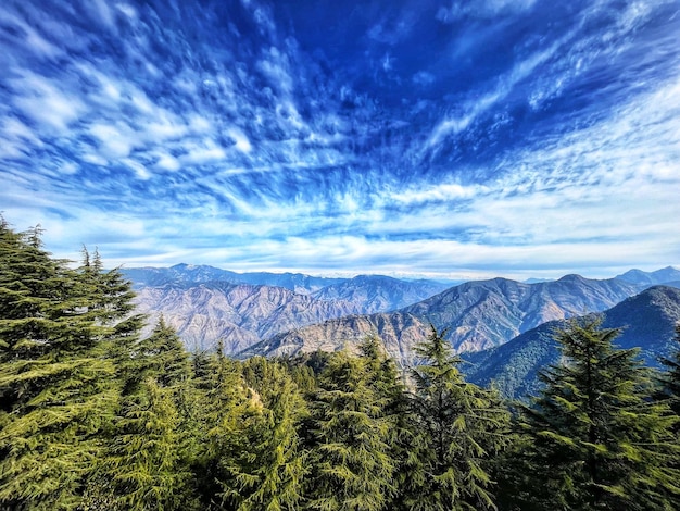 如何選擇適合自己的高效AI工具