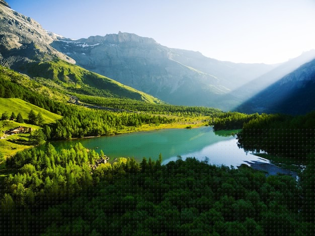 如何利用AI工具提升家居生活質量