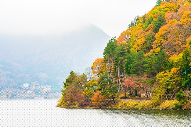 如何通過AI工具提升學(xué)術(shù)研究效率